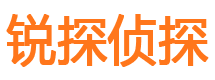 河池市私人调查